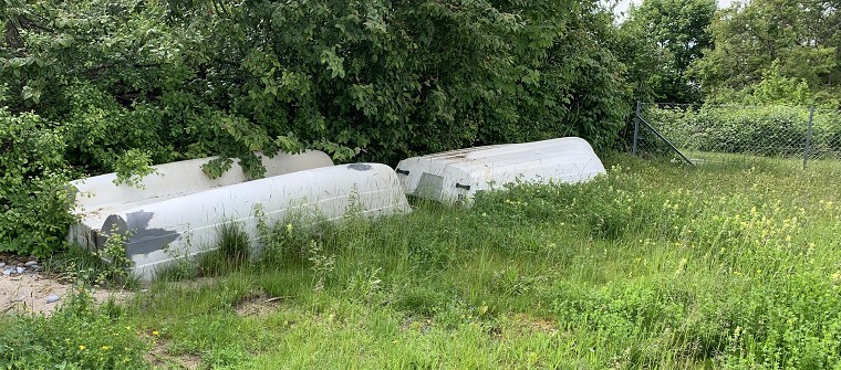 Både på diget 31.05.24